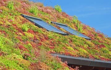 Enis living roof systems