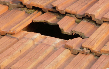 roof repair Enis, Devon